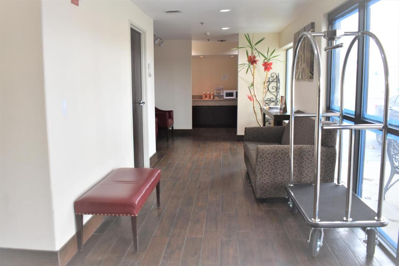 Super 8 By Wyndham New Braunfels I-35 Hotel Екстериор снимка